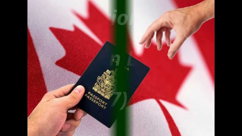 Brampton immigration lawyer